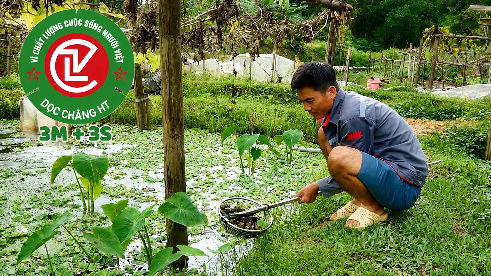 Công ty TNHH Dọc Châng HT 3 Miền 3 Sạch